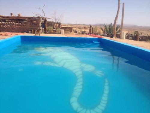 a large blue swimming pool with a snake in the water at Maison Boutchrafine in Erfoud