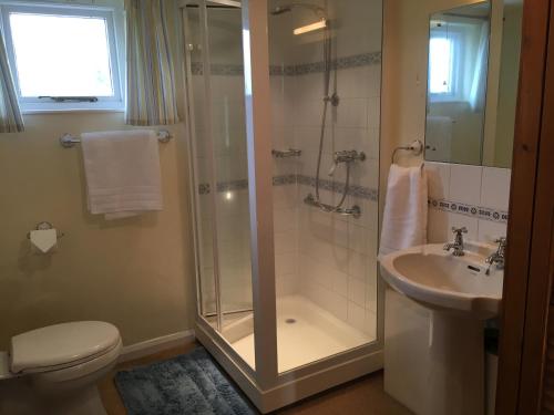 a bathroom with a shower and a toilet and a sink at Wood Farm Kerdiston in Reepham