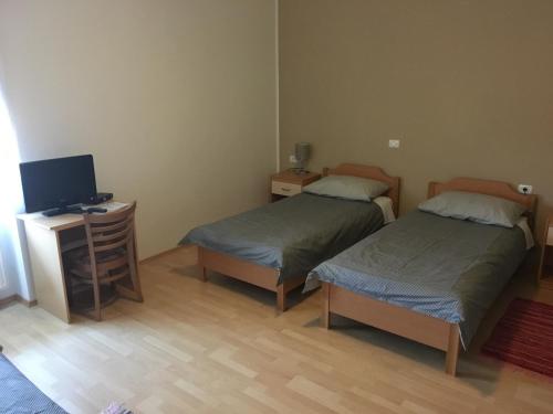 a room with two beds and a desk with a television at Guest house Okrepčevalnica Zemonska vaga in Ilirska Bistrica