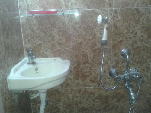 La salle de bains est pourvue d'un lavabo et d'une douche. dans l'établissement Golden Heaven Hotel, à Kolkata
