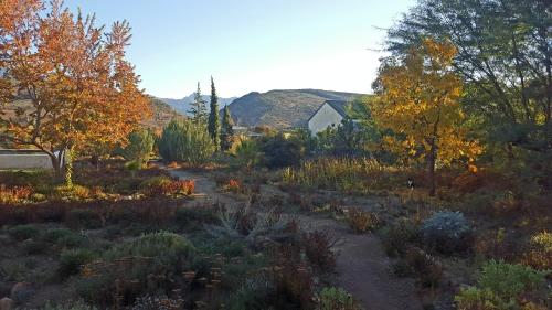 a garden in the fall with a house in the background at Klaarstroom Guest House in Klaarstroom