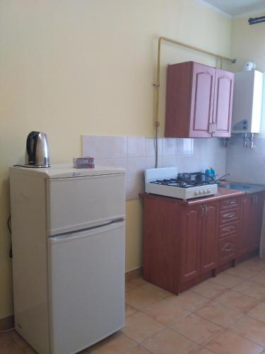 a kitchen with a white refrigerator and a stove at Apartments Domovik on Beregovskaya 3 in Mukacheve