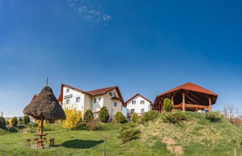 una casa en una colina con techo de hierba en Pensiunea Faur, en Sebeş