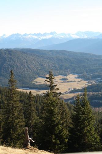 a view from the top of a hill with trees at Wirtseppelerhof Apartments in Leutasch