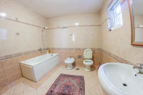 a bathroom with a tub and a toilet and a sink at Villa Ami in Novi Sad