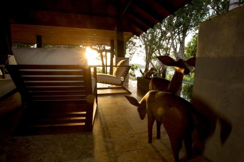 Fotografie z fotogalerie ubytování The Deer Park Hotel v destinaci Giritale