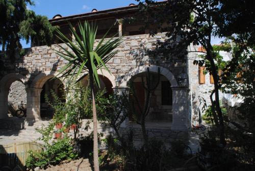 ダッチャにあるEski Datca Evleriのヤシの木が目の前にある石造りの家