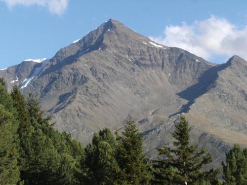 a mountain with trees in front of it at Albergo Thurwieser in Santa Caterina Valfurva