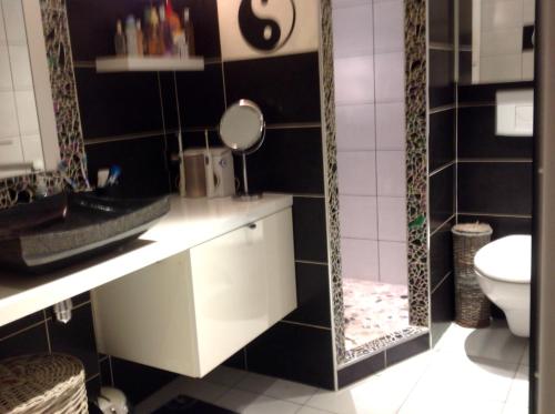 La salle de bains est pourvue d'un miroir, d'un lavabo et de toilettes. dans l'établissement Maison Joge, à Gassin