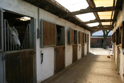a horse is sticking its head out of a stable at Le Gite Du Breux Face Semois Chassepierre au 2 ème étage in Chassepierre