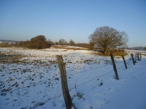 a fence in a field covered in snow at Le Gite Du Breux Face Semois Chassepierre au 2 ème étage in Chassepierre