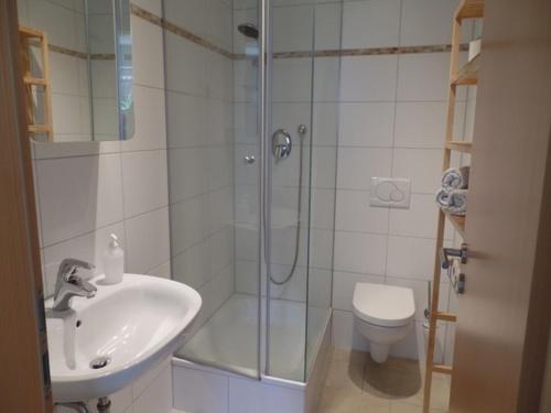 a bathroom with a shower and a sink and a toilet at Ferienwohnung Familie Igel in Horgenzell