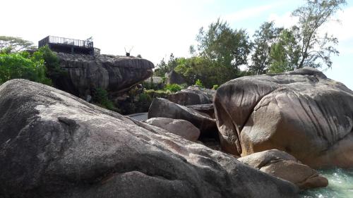 a group of rocks and water in a zoo at Jardin Marron in Baie Sainte Anne