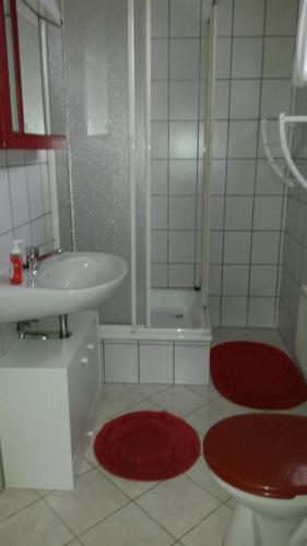 a bathroom with a sink and a shower and red rugs at Ferienhaus Lilienstein in Bad Schandau