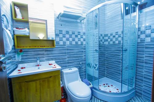 アディスアベバにあるGuzara Hotel Addisのトイレ、洗面台、シャワー付きのバスルーム