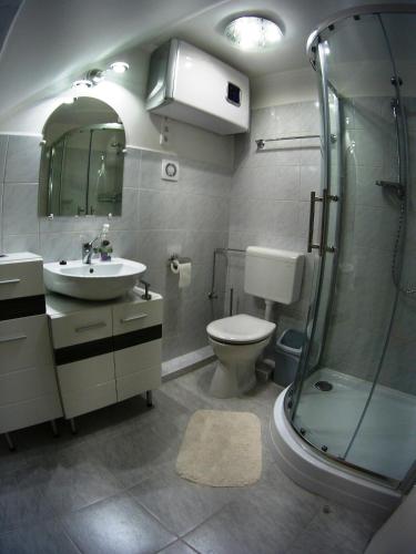 a bathroom with a shower and a sink and a toilet at Gólya Vendégház in Tiszaug