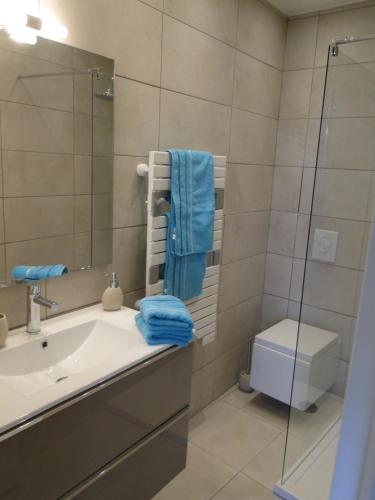 een badkamer met een wastafel, een spiegel en een toilet bij Appartement La Tourraque côté mer in Antibes