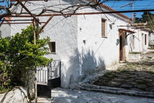 Gallery image of Traditional House in Alikampos