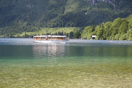 a boat on a lake with mountains in the background at Apartments and rooms Cerkovnik in Bohinj