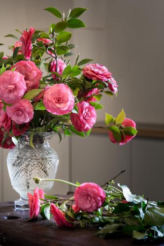 a vase filled with pink flowers on a table at Locanda La Raia in Gavi