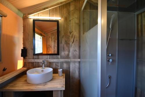 een badkamer met een wastafel, een spiegel en een douche bij Glamping Aan de Vleterbeke in Oostvleteren
