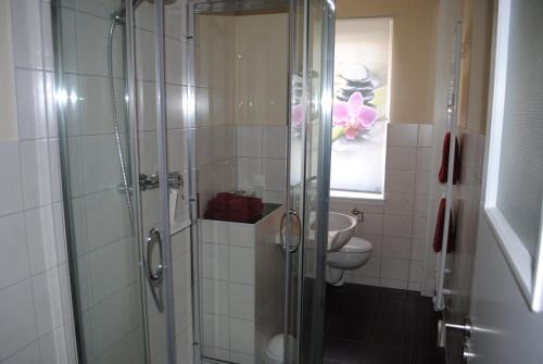 a bathroom with a shower and a toilet and a sink at Südwindappartement in Zwenkau