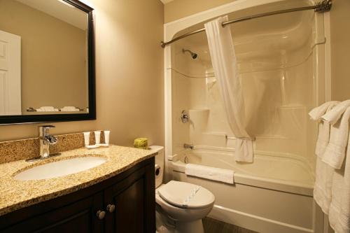 a bathroom with a sink and a toilet and a shower at Hotel Moncton in Moncton