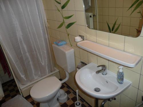 bagno con servizi igienici bianchi e lavandino di Apartment Holm Seppensen in der Nordheide a Buchholz in der Nordheide