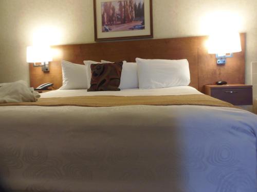 a large bed in a hotel room with two lamps at Rosslyn Inn & Suites in Edmonton