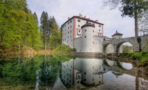 Imagen de la galería de Lake View Holiday Home, en Cerknica