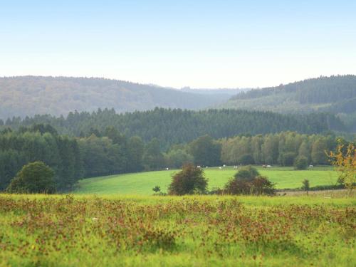 a field with green grass and trees in the background at Spacious Family Home, Sosoye in Sosoye