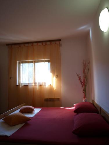 Fotografie z fotogalerie ubytování Apartment Halugica v destinaci Kali