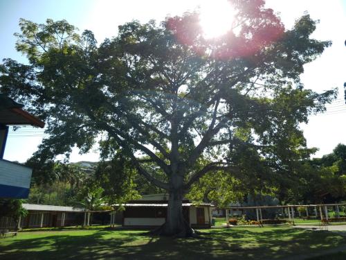 a tree in a yard with the sun behind it at Imca Hotel in Buga