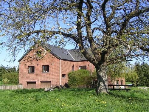 a large brick house with a tree in front of it at Apartment with pool and sauna in Felenne