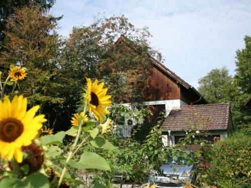 A planta de Flat in Moos near Lake Constance