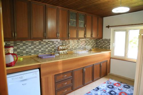 Kuchyň nebo kuchyňský kout v ubytování Villa Zeytin