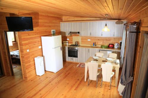 Kuchyň nebo kuchyňský kout v ubytování Villa Zeytin