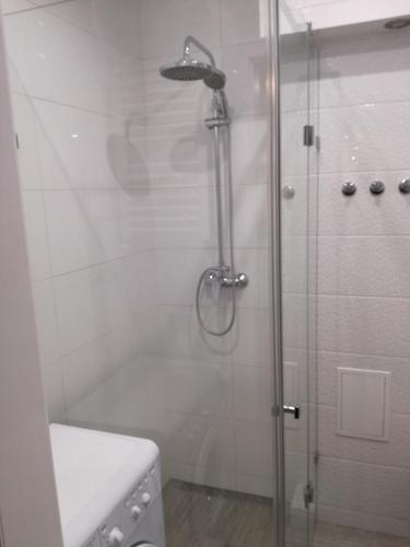 a shower with a glass door next to a toilet at Nordic Apartamenty Suraska in Białystok