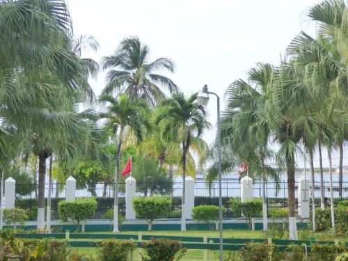 a group of palm trees in front of a building at Beach Studio 6 in Ocho Rios