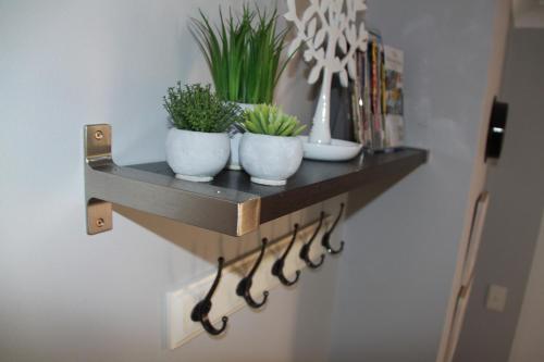 Gambar di galeri bagi Paperbark Bed & Breakfast di Brisbane
