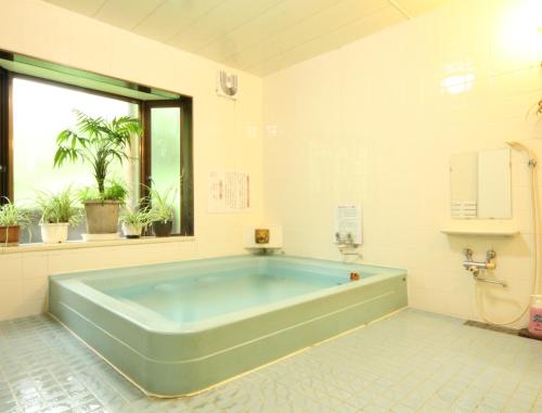 Koupelna v ubytování Yokokura Ryokan