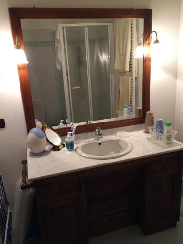 a bathroom with a sink and a large mirror at B&B Antica Corte Lombarda in Mortara