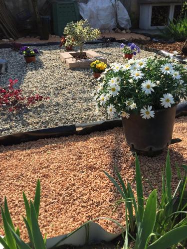 a garden with a large pot of flowers at B&B Antica Corte Lombarda in Mortara