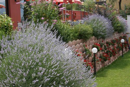 a row of lavender plants in a garden at Hotel Oasi Beach in Malcesine