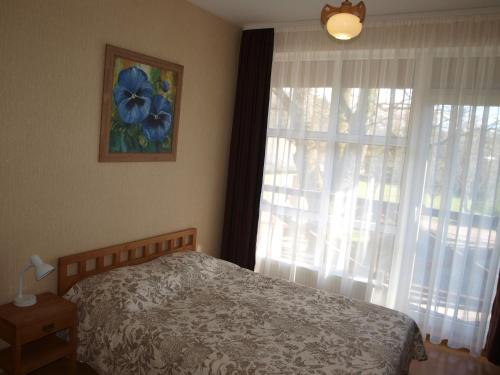 a bedroom with a bed and a window at Gaspada in Sėlenai