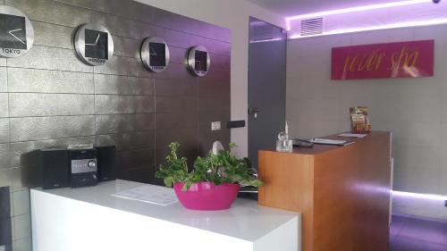 a cash counter in a bathroom with a pink flower pot at Rever Spa in Mielec
