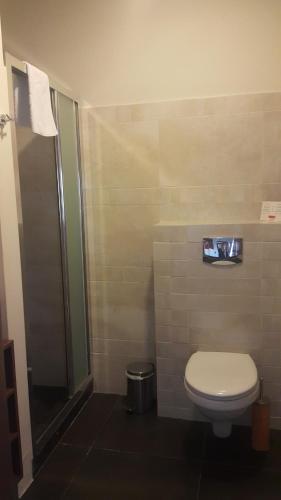 a bathroom with a toilet and a shower at Rever Spa in Mielec