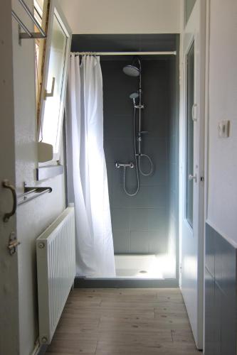 une salle de bain avec une douche avec un rideau de douche dans l'établissement Le Jules, à Colmar