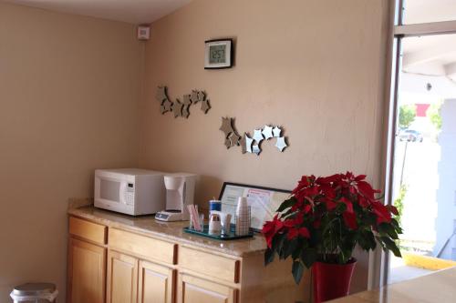 Kuchyň nebo kuchyňský kout v ubytování Century 21 Motel