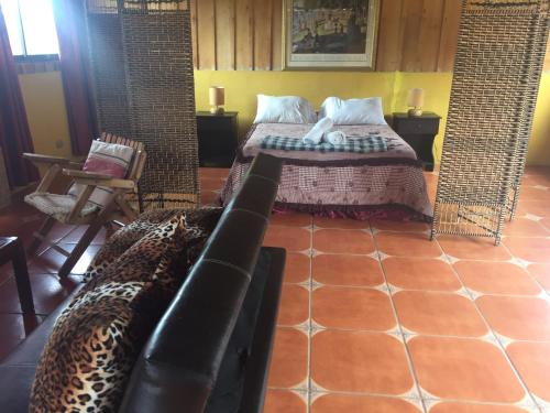 a bedroom with a bed and a couch in a room at Hotel Chalets Los Volcanes in Alajuela City